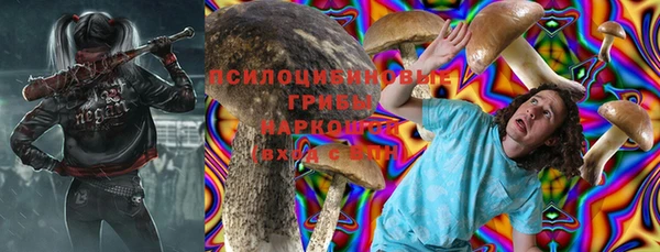 mdpv Медногорск