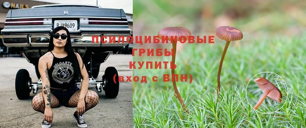 mdpv Медногорск