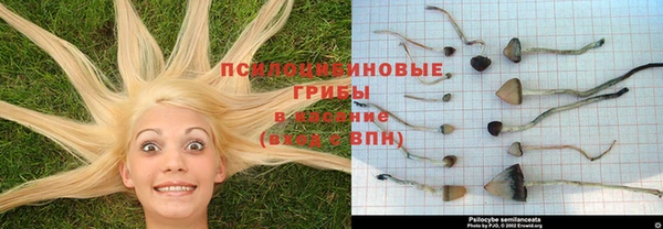 MESCALINE Новочеркасск