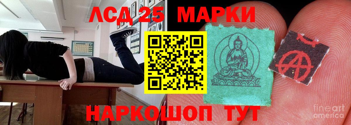 LSD-25 экстази кислота  Вход с VPN  Лсд 25 экстази кислота  Бердск 