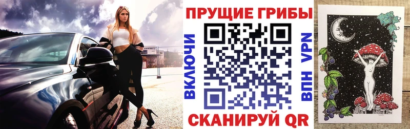 Галлюциногенные грибы Psilocybe  купить закладку  Бердск 