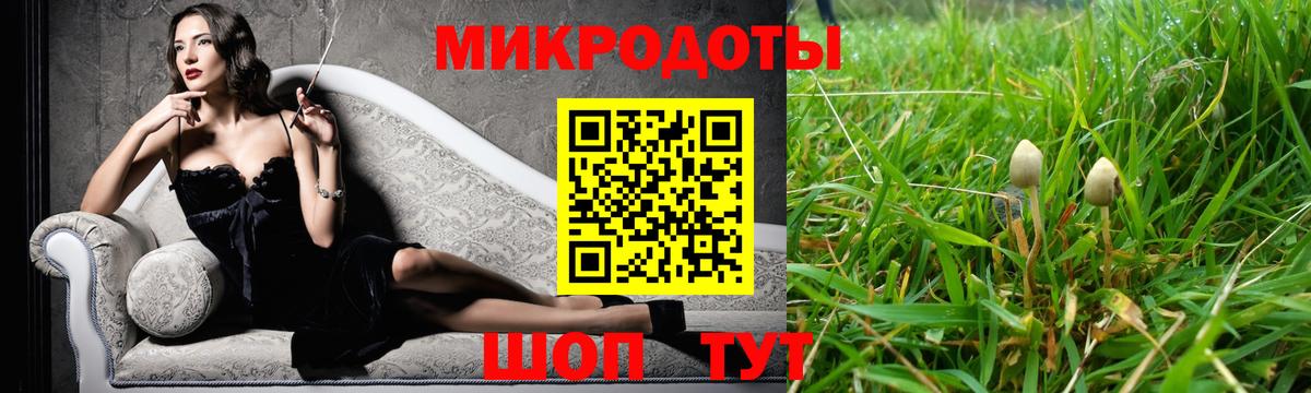 Бердск  Псилоцибиновые грибы прущие грибы  Галлюциногенные грибы Psilocybine cubensis  Вход с VPN 