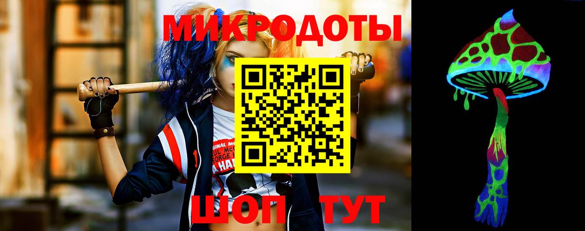 Галлюциногенные грибы Psilocybe Бердск