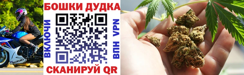 где продают   Бердск  Шишки марихуана гибрид 